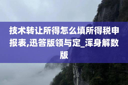 技术转让所得怎么填所得税申报表,迅答版领与定_浑身解数版