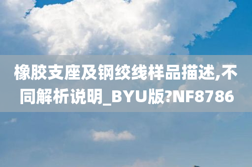 橡胶支座及钢绞线样品描述,不同解析说明_BYU版?NF8786