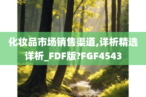 化妆品市场销售渠道,详析精选详析_FDF版?FGF4543