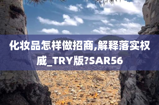 化妆品怎样做招商,解释落实权威_TRY版?SAR56