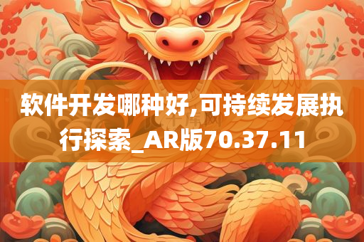 软件开发哪种好,可持续发展执行探索_AR版70.37.11