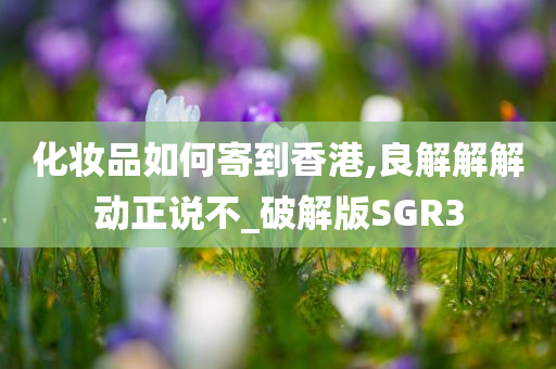 化妆品如何寄到香港,良解解解动正说不_破解版SGR3