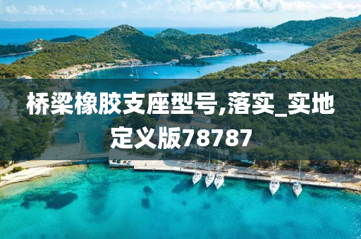 桥梁橡胶支座型号,落实_实地定义版78787