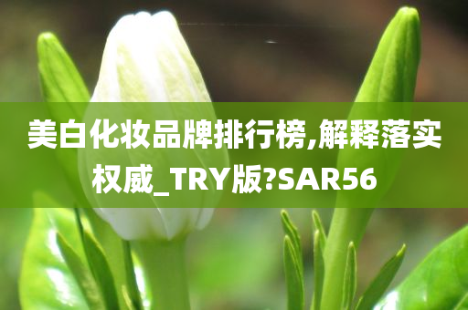 美白化妆品牌排行榜,解释落实权威_TRY版?SAR56