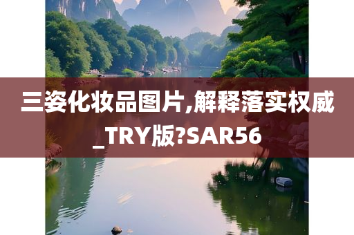 三姿化妆品图片,解释落实权威_TRY版?SAR56