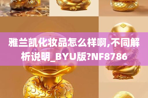 雅兰凯化妆品怎么样啊,不同解析说明_BYU版?NF8786