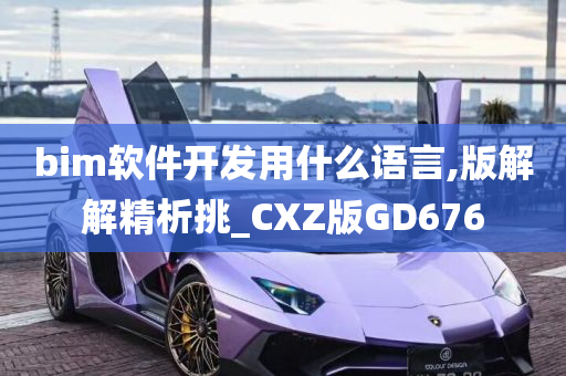 bim软件开发用什么语言,版解解精析挑_CXZ版GD676