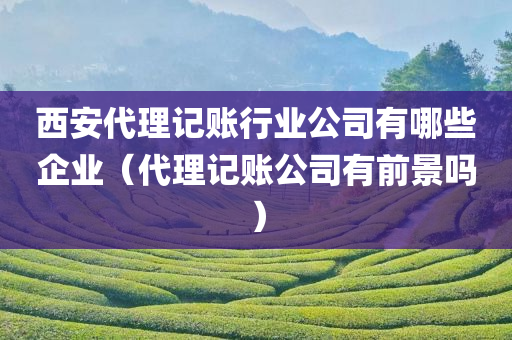 西安代理记账行业公司有哪些企业（代理记账公司有前景吗）