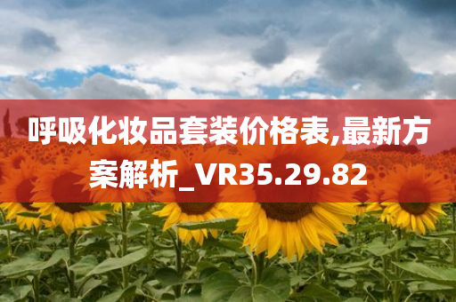 呼吸化妆品套装价格表,最新方案解析_VR35.29.82