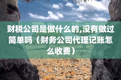 财税公司是做什么的,没有做过简单吗（财务公司代理记账怎么收费）