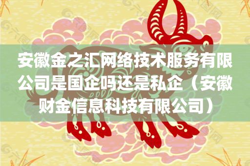 安徽金之汇网络技术服务有限公司是国企吗还是私企（安徽财金信息科技有限公司）