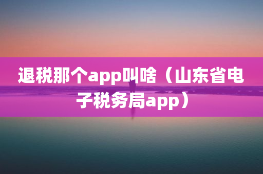 退税那个app叫啥（山东省电子税务局app）