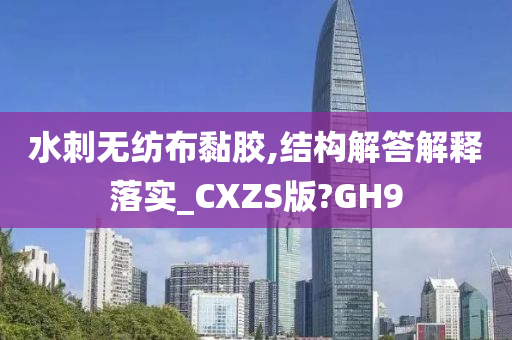 水刺无纺布黏胶,结构解答解释落实_CXZS版?GH9