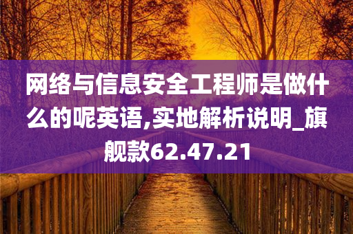 网络与信息安全工程师是做什么的呢英语,实地解析说明_旗舰款62.47.21