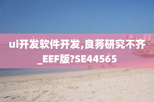 ui开发软件开发,良莠研究不齐_EEF版?SE44565