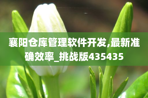 襄阳仓库管理软件开发,最新准确效率_挑战版435435