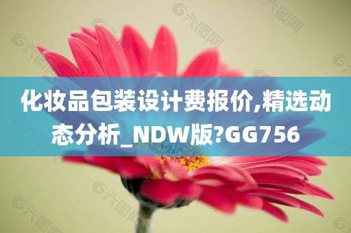 化妆品包装设计费报价,精选动态分析_NDW版?GG756