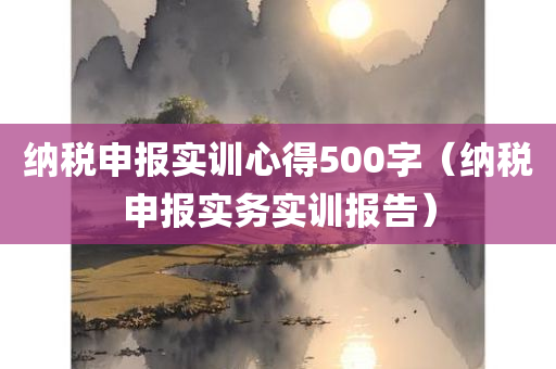 纳税申报实训心得500字（纳税申报实务实训报告）