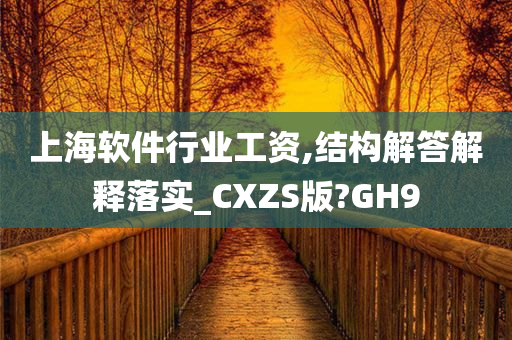 上海软件行业工资,结构解答解释落实_CXZS版?GH9