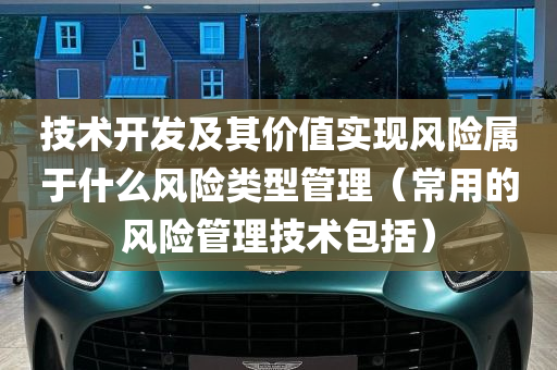 技术开发及其价值实现风险属于什么风险类型管理（常用的风险管理技术包括）