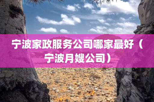 宁波家政服务公司哪家最好（宁波月嫂公司）