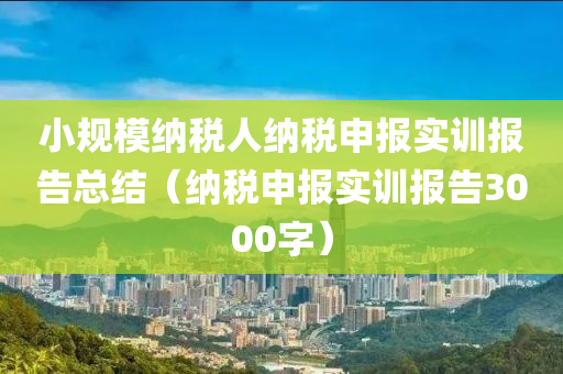 小规模纳税人纳税申报实训报告总结（纳税申报实训报告3000字）