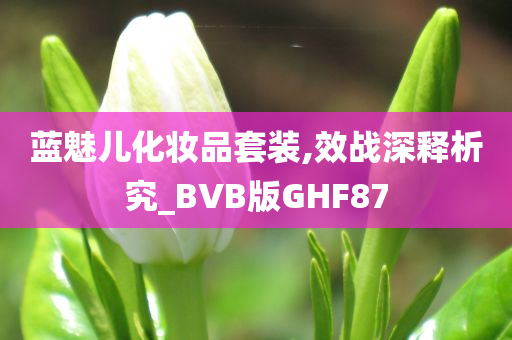 蓝魅儿化妆品套装,效战深释析究_BVB版GHF87