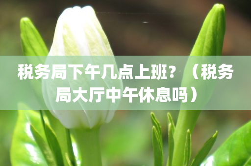 税务局下午几点上班？（税务局大厅中午休息吗）