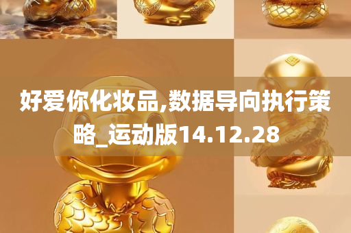 好爱你化妆品,数据导向执行策略_运动版14.12.28