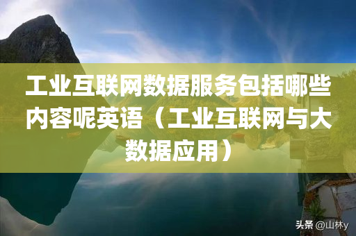 工业互联网数据服务包括哪些内容呢英语（工业互联网与大数据应用）