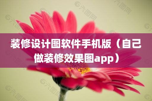 装修设计图软件手机版（自己做装修效果图app）