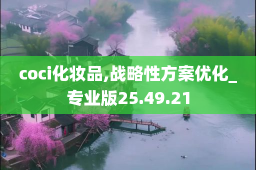 coci化妆品,战略性方案优化_专业版25.49.21