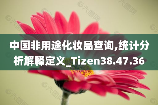 中国非用途化妆品查询,统计分析解释定义_Tizen38.47.36