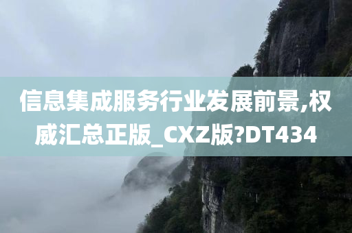 信息集成服务行业发展前景,权威汇总正版_CXZ版?DT434