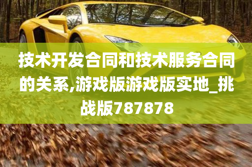 技术开发合同和技术服务合同的关系,游戏版游戏版实地_挑战版787878