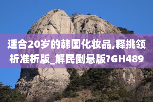 适合20岁的韩国化妆品,释挑领析准析版_解民倒悬版?GH489