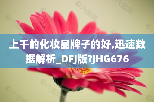 上千的化妆品牌子的好,迅速数据解析_DFJ版?JHG676