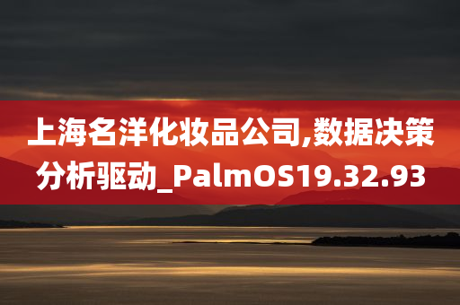 上海名洋化妆品公司,数据决策分析驱动_PalmOS19.32.93