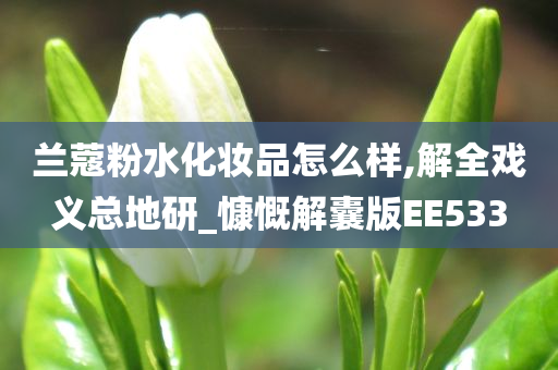 兰蔻粉水化妆品怎么样,解全戏义总地研_慷慨解囊版EE533