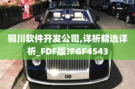 铜川软件开发公司,详析精选详析_FDF版?FGF4543