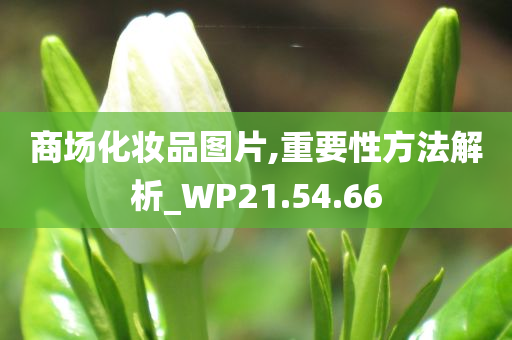 商场化妆品图片,重要性方法解析_WP21.54.66