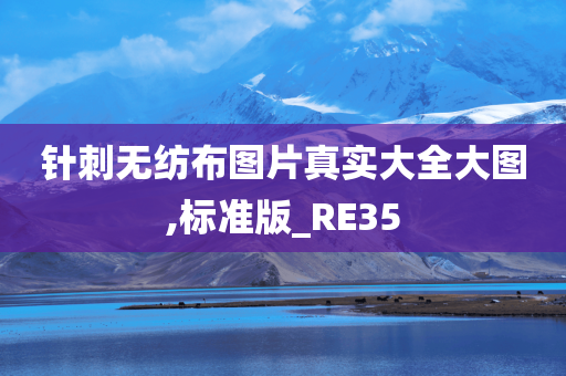 针刺无纺布图片真实大全大图,标准版_RE35