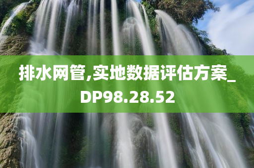 排水网管,实地数据评估方案_DP98.28.52