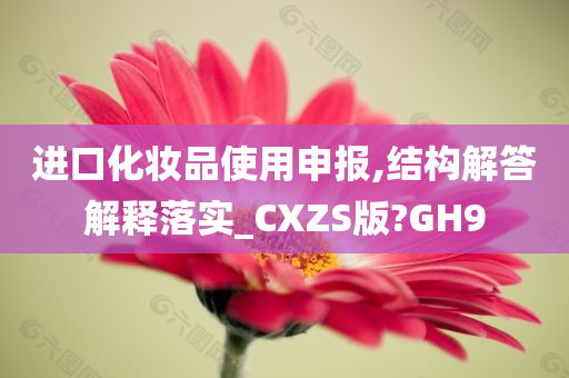 进口化妆品使用申报,结构解答解释落实_CXZS版?GH9