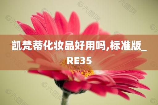 凯梵蒂化妆品好用吗,标准版_RE35