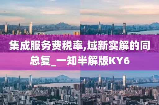 集成服务费税率,域新实解的同总复_一知半解版KY6