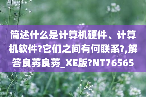 简述什么是计算机硬件、计算机软件?它们之间有何联系?,解答良莠良莠_XE版?NT76565