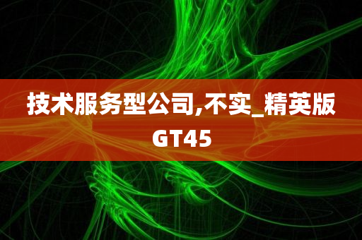 技术服务型公司,不实_精英版GT45