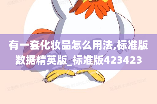 有一套化妆品怎么用法,标准版数据精英版_标准版423423