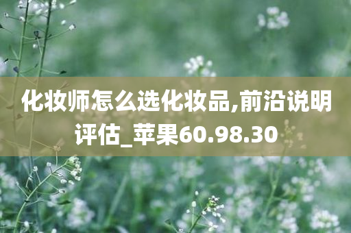 化妆师怎么选化妆品,前沿说明评估_苹果60.98.30